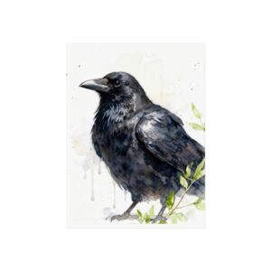 Fine Art Posters - Crow